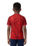 2026 Haiti National Soccer Team Kids Fans Jersey – Red
